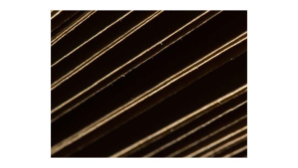 light on the edge of the pages of an open book